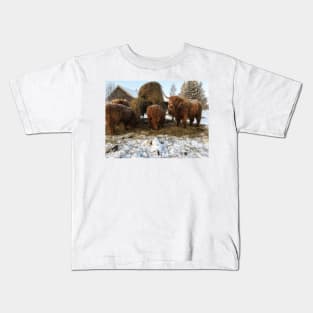 Scottish Highland Cattle Cow and Calves 1663 Kids T-Shirt